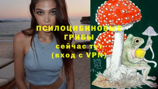 2c-b Белоозёрский