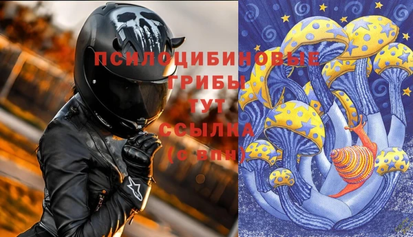 прущая мука Белокуриха
