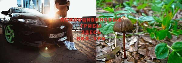 2c-b Белоозёрский